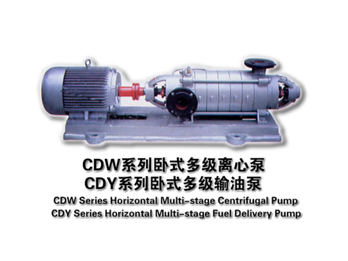 CDW Horizontal multistage centrifugal pump