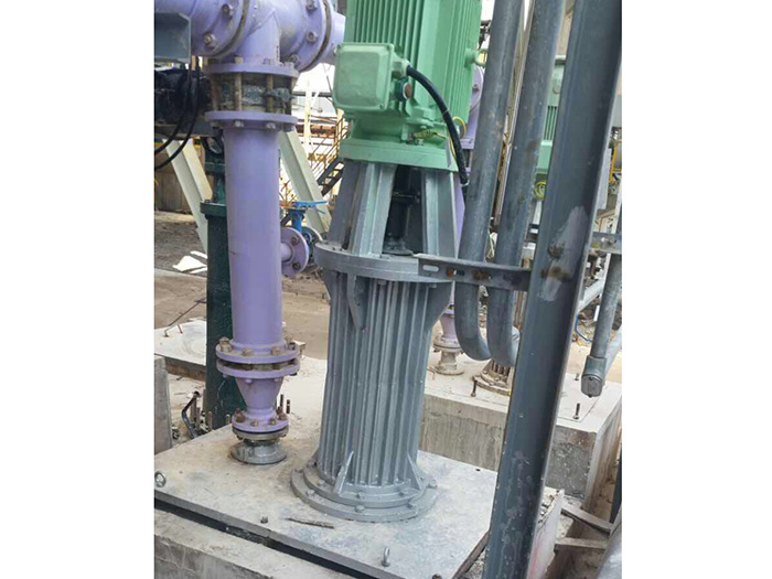 Vs5 vertical long shaft sump pump for flue gas desulfurization of Sinopec Shanghai Jinshan Petrochemical Company